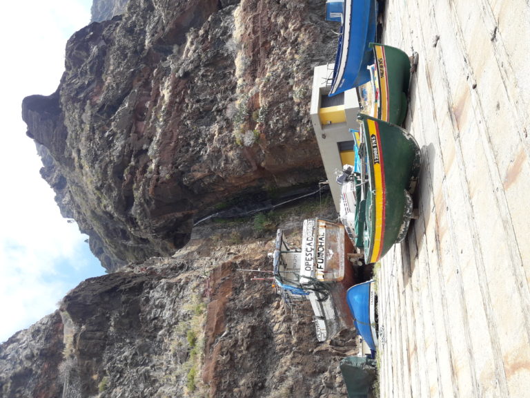 typical boat paul do mar madeira jeep tour