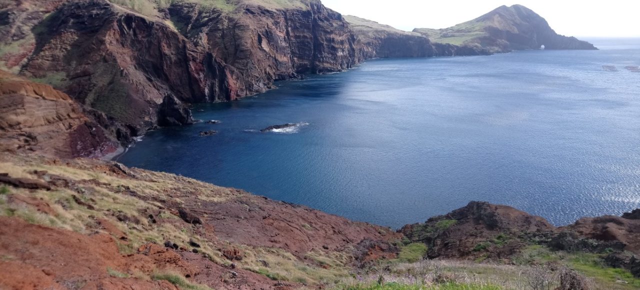 Ponta de são lourenço